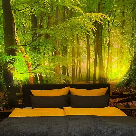 Wald Bielefeld